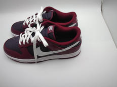 ダンクLOWレトロ|NIKE