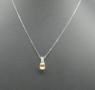 ネックレス|PT850・PT900