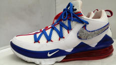 レブロン17 ローチェンスクワット|NIKE