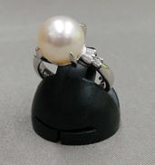 PT900リング|選択不可