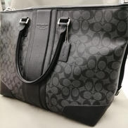 シグネチャー 2WAYバッグ|COACH