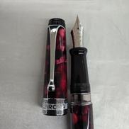 14K/万年筆(吸入式)|AURORA