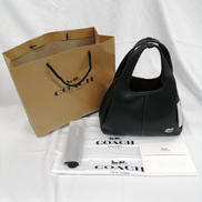 ラナ　２WAYバッグ|COACH