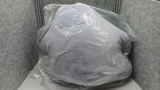 B賞 メタモンBIGクッション