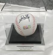 斎藤佑樹 引退記念サインボール|BBM