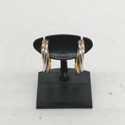 イヤリング|K18 PT900