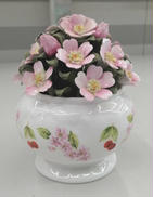 陶花|エインズレイ