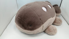 ふわふわ抱きぐるみ|ポケモンセンター