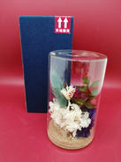 フラワードーム|新テニスの王子様