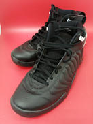 ジョーダン ダンクマン プロ 27.5CM|NIKE