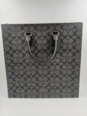 ディランラージトート|COACH