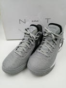 ZOOM LEBRON NXXT GEN EP|NIKE