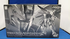 1/144　RG　フリーダムガンダム　ディアクティブモード