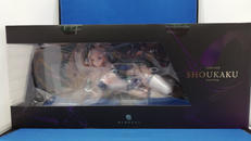 翔鶴　疾翔の姉羽