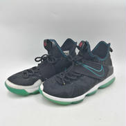 LEBRON 14 PRM EP|NIKE