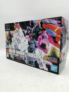 HG マスターガンダム＆風雲再起