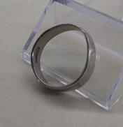 リング(歪みあり)|PM900