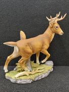 STAG|ANDREA BY SADEK