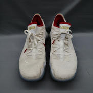 LEBRON 16 LOW DRAFT DAY|NIKE