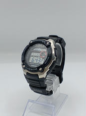 WAVE CEPTOR|CASIO