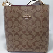 スモールタウンバケットバッグ|COACH
