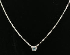 バイザヤード　ネックレス|TIFFANY&CO.