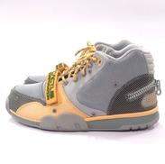 AIR TRAINER1/CJ|NIKE