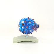 CLEONA, CAPRI BLUE|SWAROVSKI