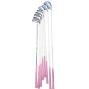 レディースゴルフセット|PARIS