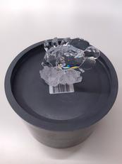 バタフライフィッシュ|SWAROVSKI