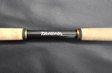 シーバスロッド|DAIWA