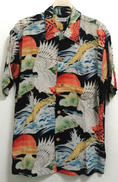 HAWK LIGHTED BY RISING SUN|SUN SURF
