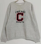 HEAVYWEIGHT SWEATSHIRT|HANES