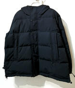 POLYESTER DOWN|DANTON