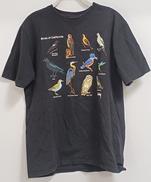 CARIFORNIA BIRDS TEE|STUSSY