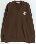 ビンテージVネックニット|PLINGLE