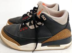 AIR JORDAN 3 "DESERT ELEPHANT/|NIKE