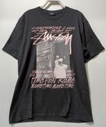 CONQUERING LION TEE|STUSSY
