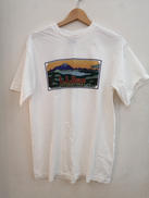 ×L.L.BEANプリントTEE|HARBORSIDE GRAPHICS
