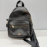 チョークチャーリーミニバックパック|COACH