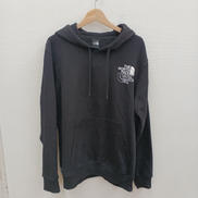 GRAPHIC INJECTION HOODIE|THE NORTH FACE