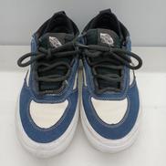 VANS SKATE SAFE LOW|VANS