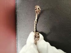 スカルモチーフバングル|ALICE BLACK