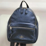 ミニデイパック|COACH