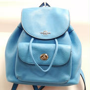 ミニデイパック|COACH