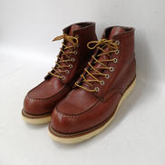 アイリッシュセッター|REDWING