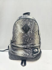 バックパック|SUPREME×THE NORTH FACE