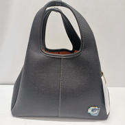 ラナ　2WAYバッグ|COACH