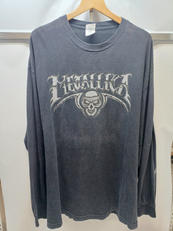 METARIAプリントロングTシャツ|ALSTYLE APPAREL