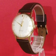 PARA SHOCK PHYNOX|CITIZEN